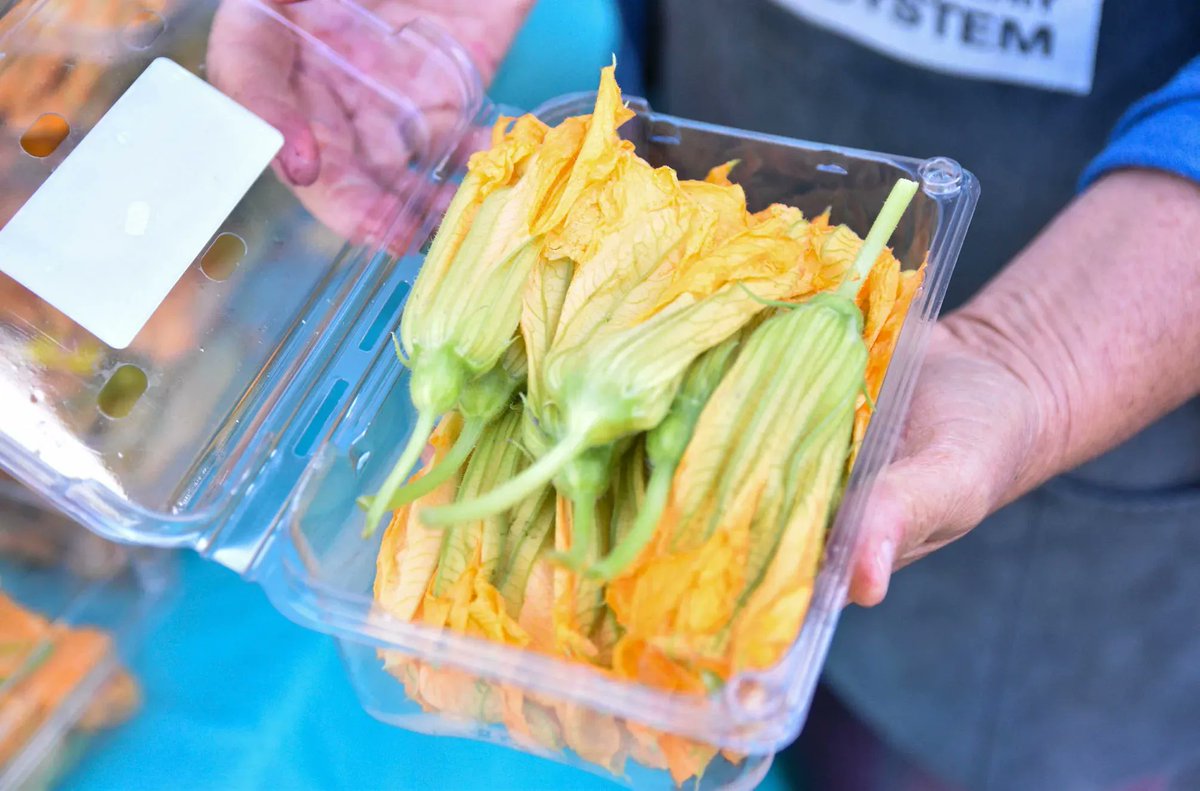 MissionMercado's tweet photo. What summertime produce are you most excited to find at the #farmersmarket? ☀️ Today at Yerena Farms, you can pick up freshly picked squash blossoms, or flor de calabaza grown about 100 miles away from San Francisco in Watsonville. Stop by the #MissionCommunityMarket from 3-7pm https://t.co/OPr02OKKZO