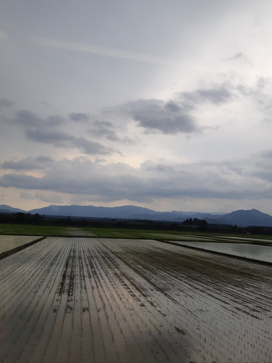 NJlVZyOEvNt8T5H's tweet photo. 先週の今日
新幹線の中から
風景を眺めてた
一週間は早いね
店も変わり
新しい目標が見えた
改めて
おはようございます
今日は曇り空
紫陽花は
まだ咲いて無いけど
母のつつじも満開
さぁ今日から
また頑張りますか😊👊❤
#チャン・グンソク
#同じ空の下
#私はうなぎ_jksfm2022
#Bloomig
#グンちゃん https://t.co/LG2wbY3LNW