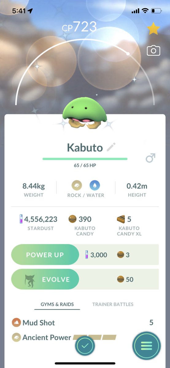 trainerOVOzinn's tweet photo. Finally a New Shiny ✨ #PokemonGO #pokemon #ShinyPokemon https://t.co/6GA20hEcVx