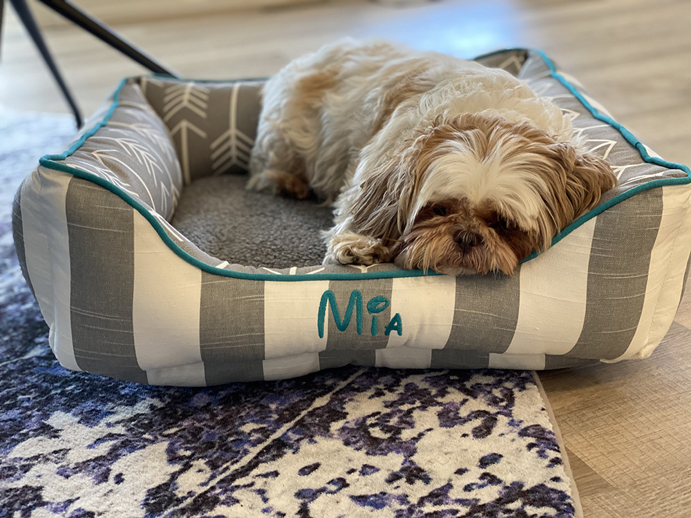 J'Adore Custom Pet Beds on Twitter "Design your own custom pet bed! Choose style, fabrics