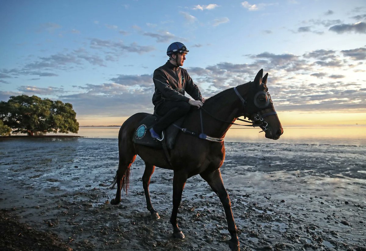 ZakSimmonds's tweet photo. @GaiWaterhouse1 trained horse Alligator Blood is taken for a ride along Nudgee Beach by strapper William Lee ahead of the Stradbroke Handicap. Story via @bendorries76 https://t.co/5NocaqOb3e https://t.co/sNbcmi88ZN