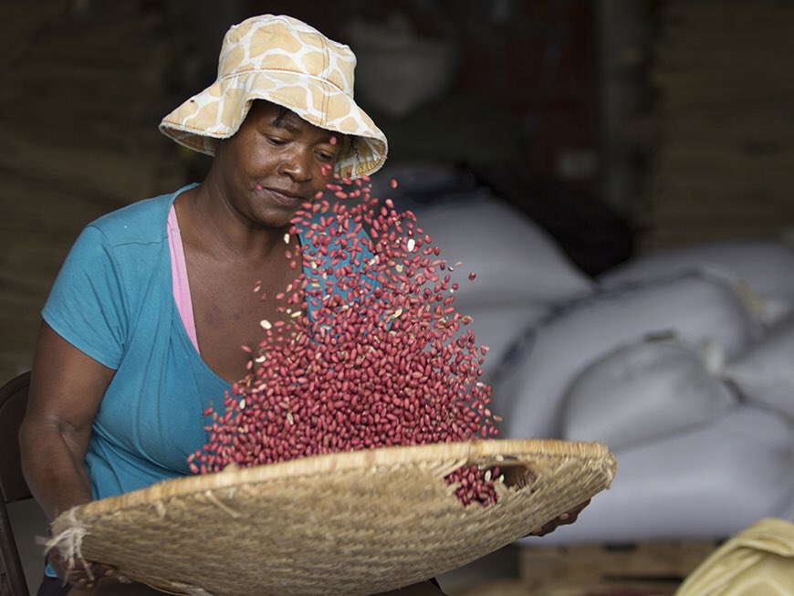 Haiti Food Systems Alliance tweet media
