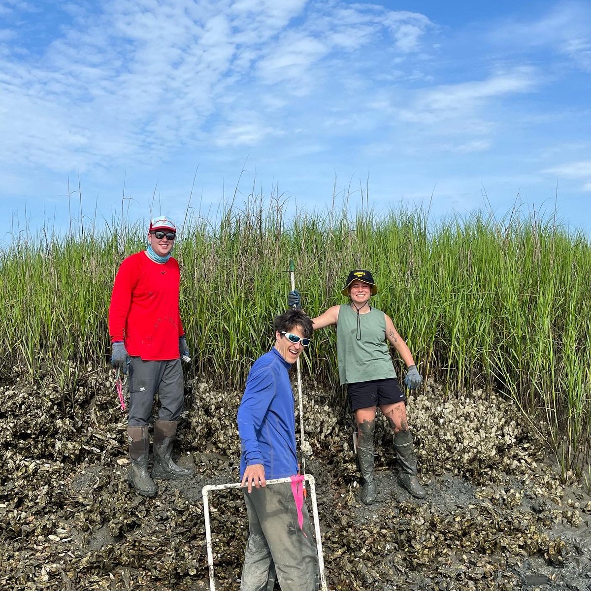 Dr. Shelby Ziegler tweet media