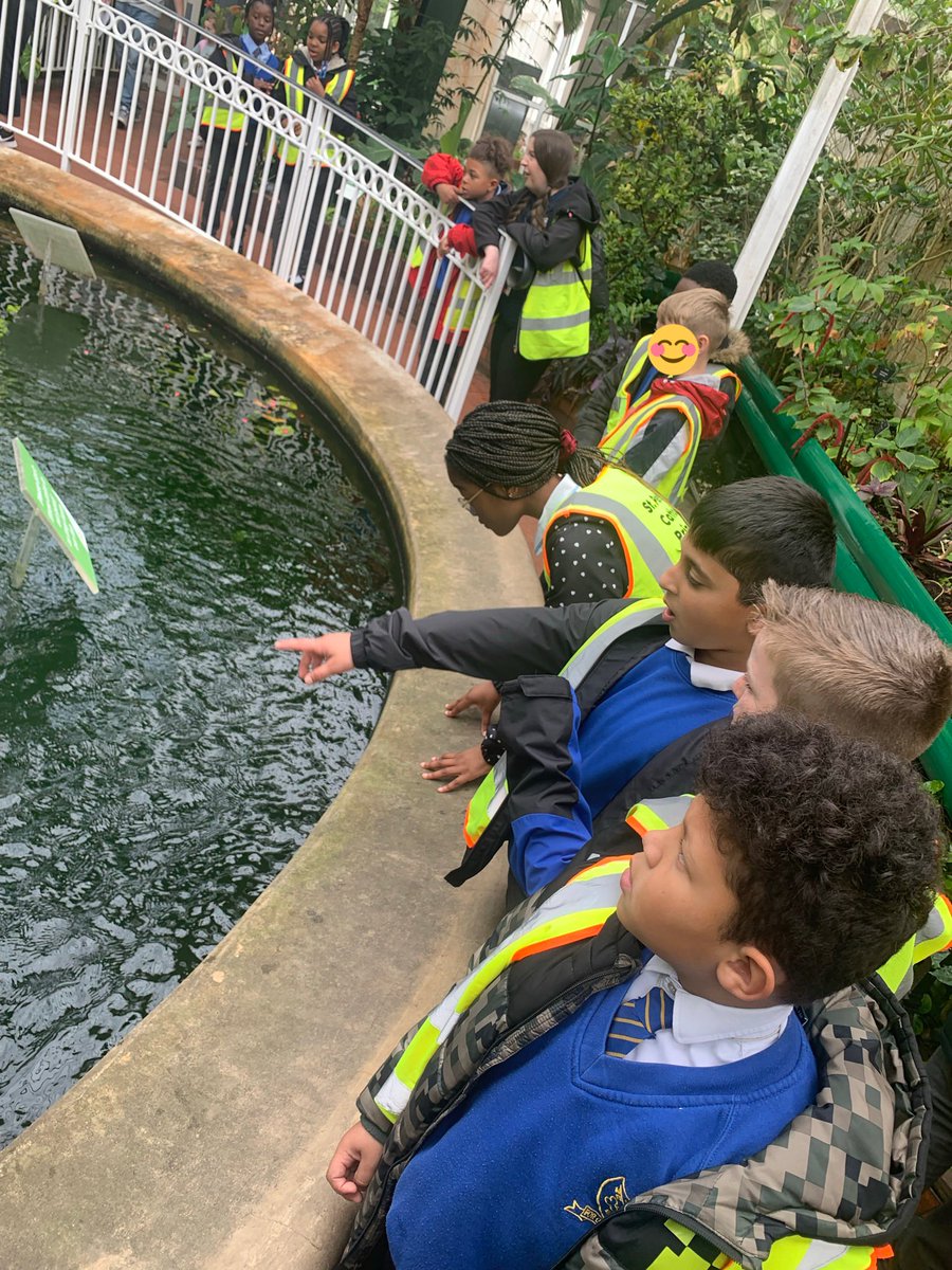 MrsWhileYear4's tweet image. Year 4 had the best day at 
@Bhambotanicalgd. The chn loved the Japanese challenge and were able to share their knowledge from our new geography topic, “Japan” with our leader 🇯🇵🎎