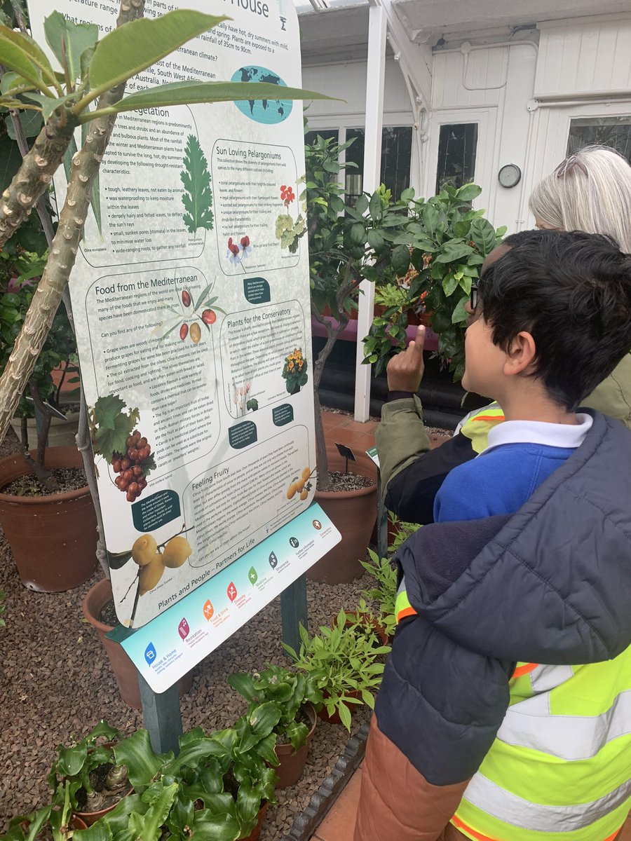 MrsWhileYear4's tweet image. Year 4 had the best day at 
@Bhambotanicalgd. The chn loved the Japanese challenge and were able to share their knowledge from our new geography topic, “Japan” with our leader 🇯🇵🎎
