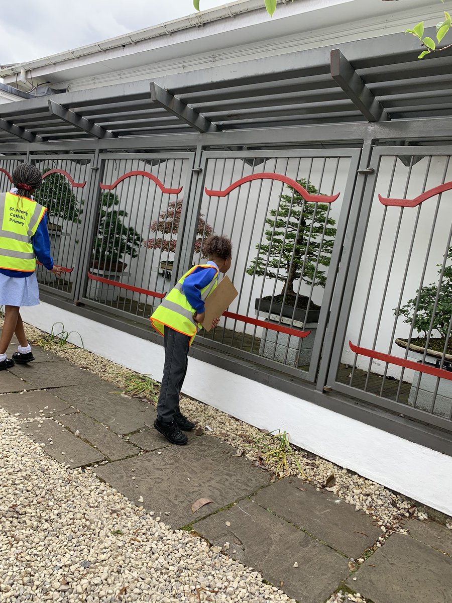 MrsWhileYear4's tweet image. Year 4 had the best day at 
@Bhambotanicalgd. The chn loved the Japanese challenge and were able to share their knowledge from our new geography topic, “Japan” with our leader 🇯🇵🎎