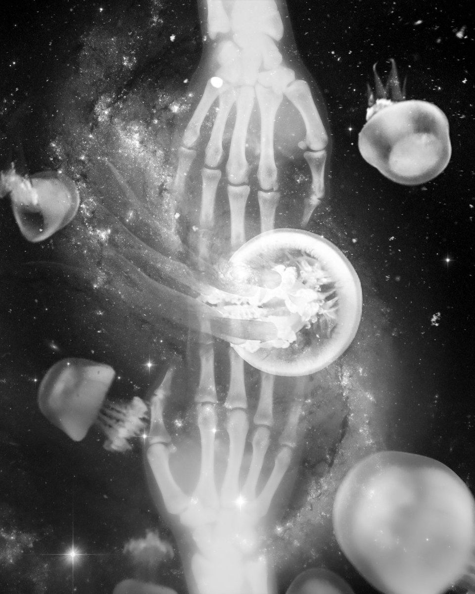 10/13 for "X-RAY DREAMING" collection.
🩻 0.09 $ETH
☁️ Available on <a href="/opensea/">OpenSea</a>
🫀 Comes with a physical print.
⬇️
opensea.io/assets/ethereu…
________________
#nft #nftart #nftdrop #nftcollection #nfts #nftcollectible #nftcommunity #nftlover #nftartist #nftartwork #nftopensea #nftshill