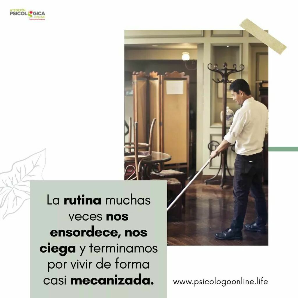 Fco Javier Zamora tweet media