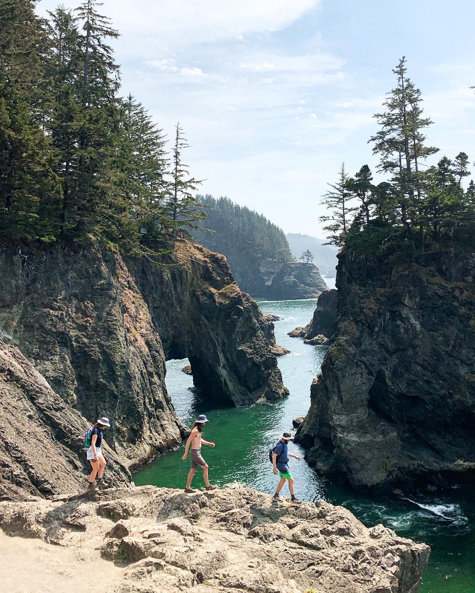 alexticegray's tweet photo. iPhone photo of the Oregon coast because in a little over a month I’ll be back here 🤩 https://t.co/cjNyloHtWV