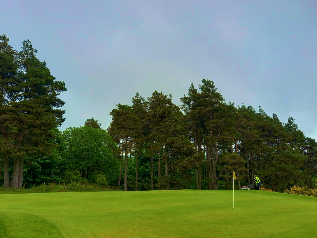 stufergusonmg's tweet photo. Thursday Cheese from The Moor! #GetGolf #DoGolf #GolfChat https://t.co/4N3KUi5LZ3