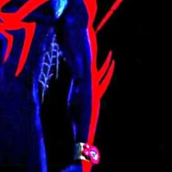 Cani Offices tweet media