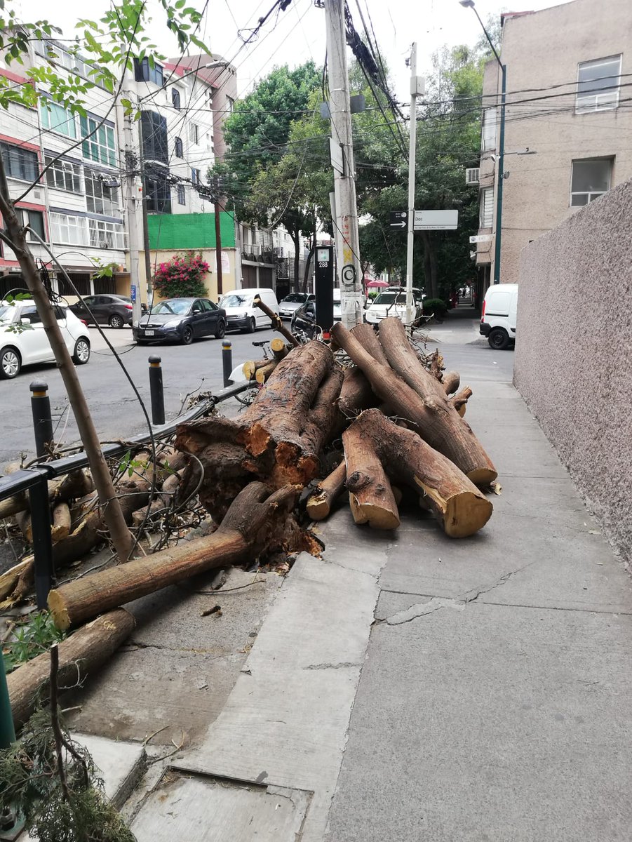 SegSPdelosPinos's tweet photo. Llevamos un mes esperando el retiro!! 11 de Abril esquina Av. Dos @BJAlcaldia @AccionesBJ @STaboadaMx https://t.co/fgKGw0s6Uj