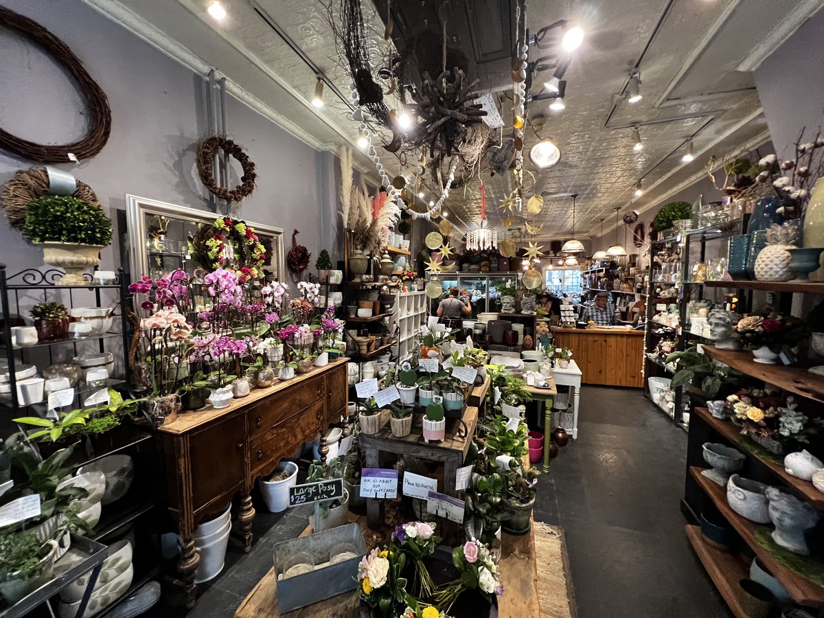 Theflowerroom.com is a #hiddengem in our #Toronto #HighPark neighbourhood. Arrangements are beautiful &amp; deliveries are handled by MotorMike on his motorbike. 

#GoSmallCanada is the biggest "small" movement to support #smallbusiness. Tag a business &amp; add #GoSmallCanada