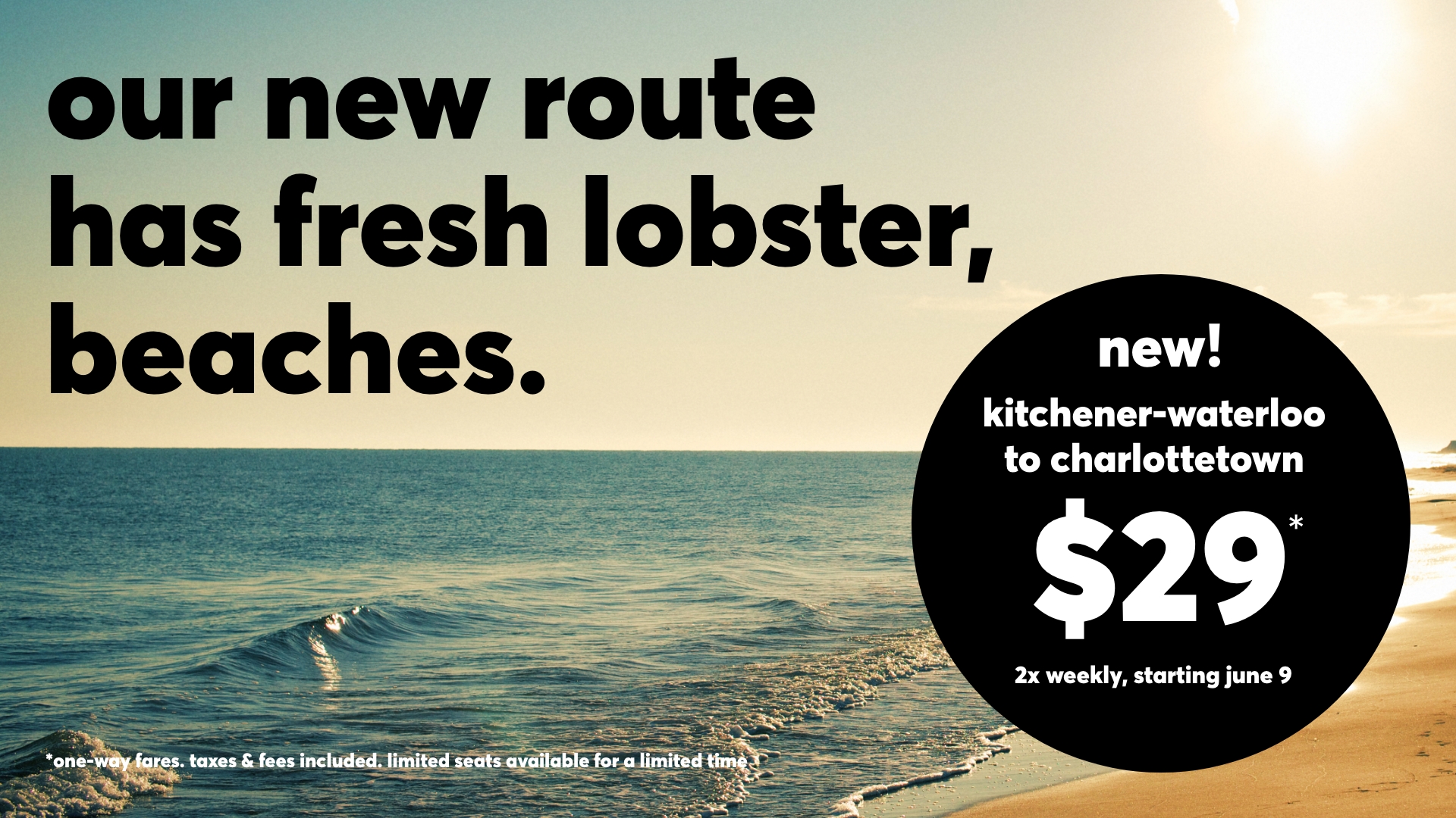 flair airlines on Twitter "Flair is celebrating another first today