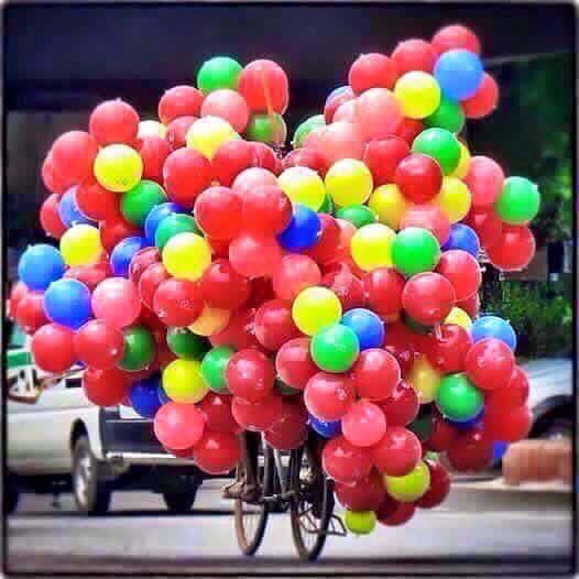 OBS De Venen tweet media