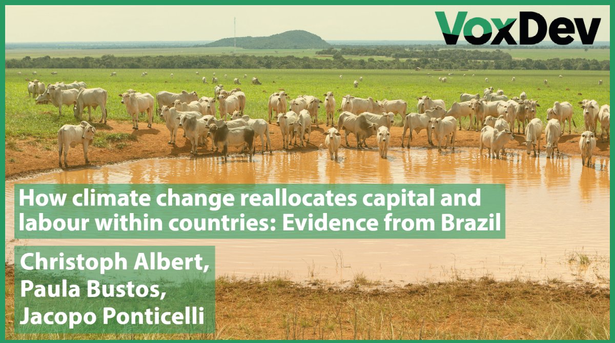 How #ClimateChange reallocates capital and #labour within countries: Evidence from #Brazil
➡️ ow.ly/xQL650JrgLH

Christoph Albert <a href="/CEMFInews/">CEMFI</a> <a href="/CollegioCA/">Collegio Carlo Alberto</a>, Paula Bustos <a href="/CEMFInews/">CEMFI</a>, Jacopo Ponticelli <a href="/jacopont/">Jacopo Ponticelli</a> <a href="/NorthwesternU/">Northwestern</a> <a href="/KelloggSchool/">Kellogg School</a>