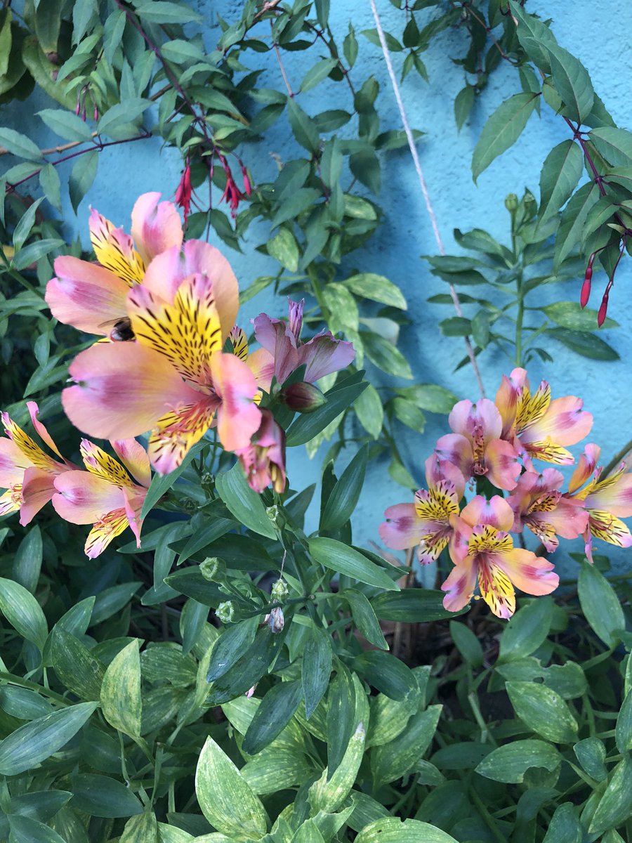 Ce soir cocktail au jardin pour 25 personnes! Et vous, vous aimez les afterworks en plein cœur de ville?