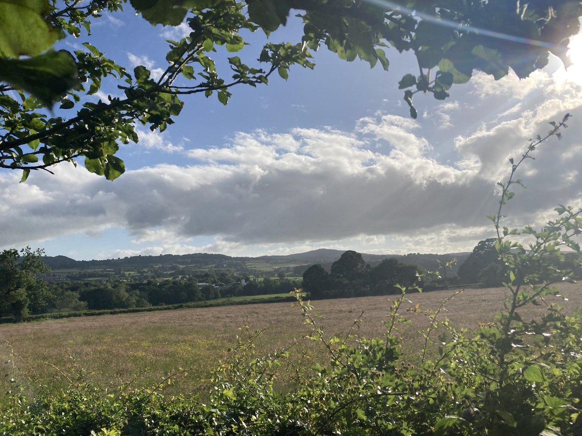glasfrynpub's tweet image. Balmy evening here at Glasfryn with beautiful views over the Welsh countryside ❤️🏴󠁧󠁢󠁷󠁬󠁳󠁿

#glasfryn #bandplife #publife #brunningandprice #wales #clwydianrange #summertime