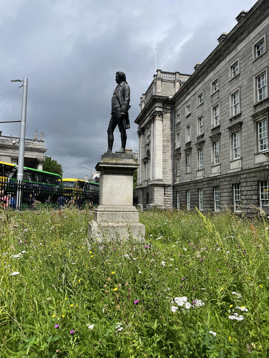 Wonderful &amp; productive morning in glorious <a href="/tcddublin/">Trinity College Dublin</a> &amp; well done <a href="/MensAidIreland/">Men’s Aid Ireland</a> <a href="/derekjourno/">Derek J Byrne</a> <a href="/katebentleykb/">Kathrinabentley(KB)</a> <a href="/CoerciveCtrl_IE/">Coercive Control IRE 🇮🇪</a> <a href="/DrMelCorbally/">Dr Melissa Corbally</a> demonstrating #research informing #bestpractice #evidencebased #communityfocused #DV program #LGBTQ <a href="/DCUSNPCH/">DCU Nursing, Psychotherapy & Community Health</a> <a href="/DCUAlumni/">DCU Alumni</a> <a href="/rodericogorman/">Roderic O’Gorman TD</a>