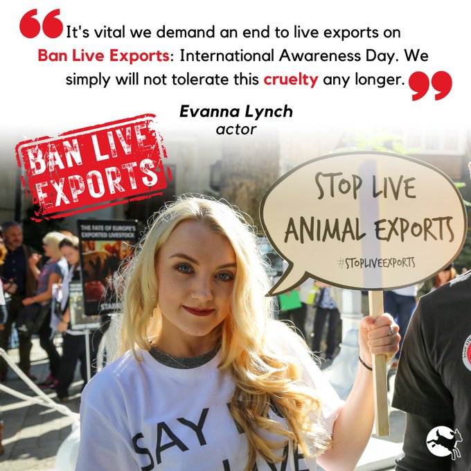 Quote from Evanna Lynch "It's vital we demand an end to live exports on Ban Live Exports: International Awareness Day. We simply will not tolerate this cruelty any longer."
