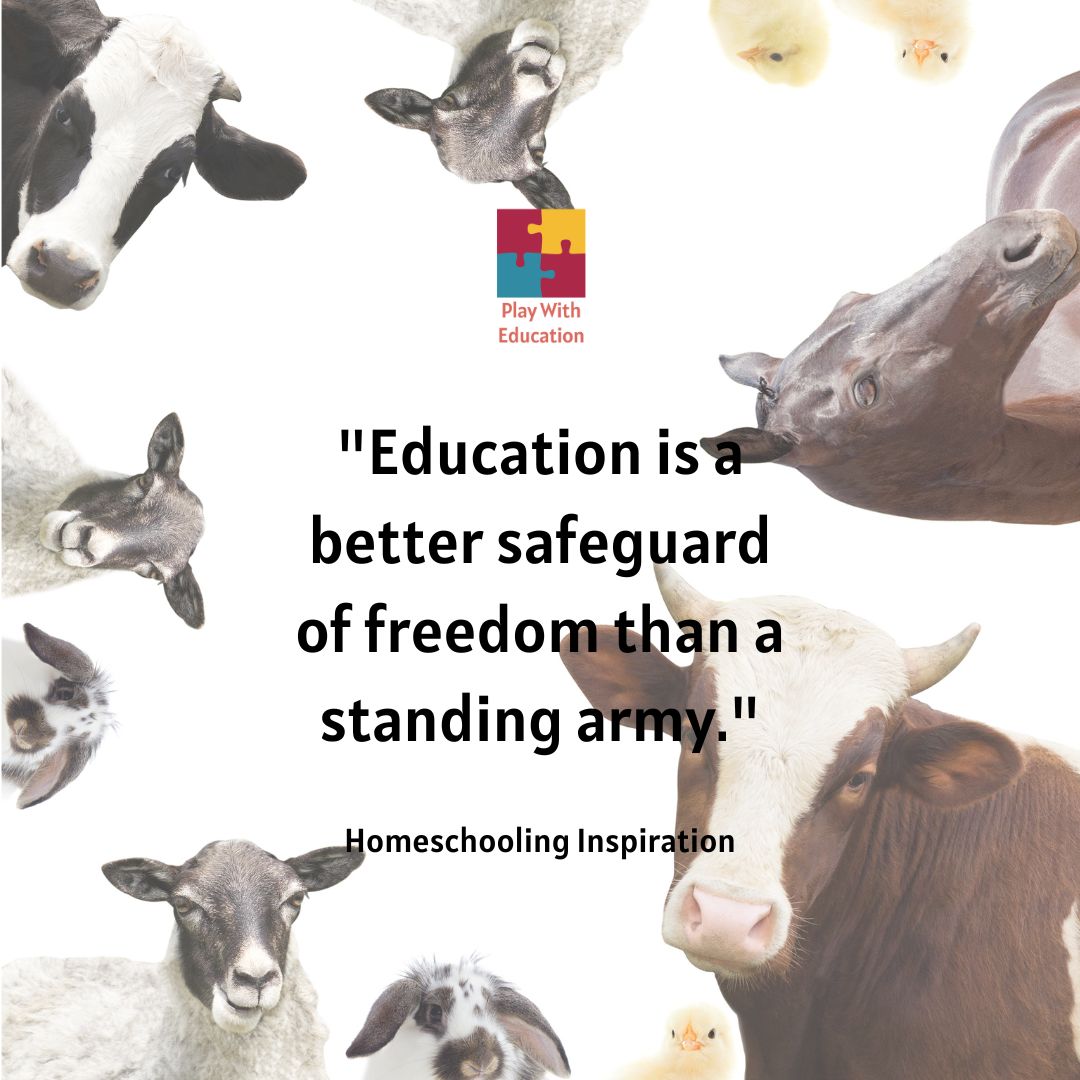 Play With Education tweet media