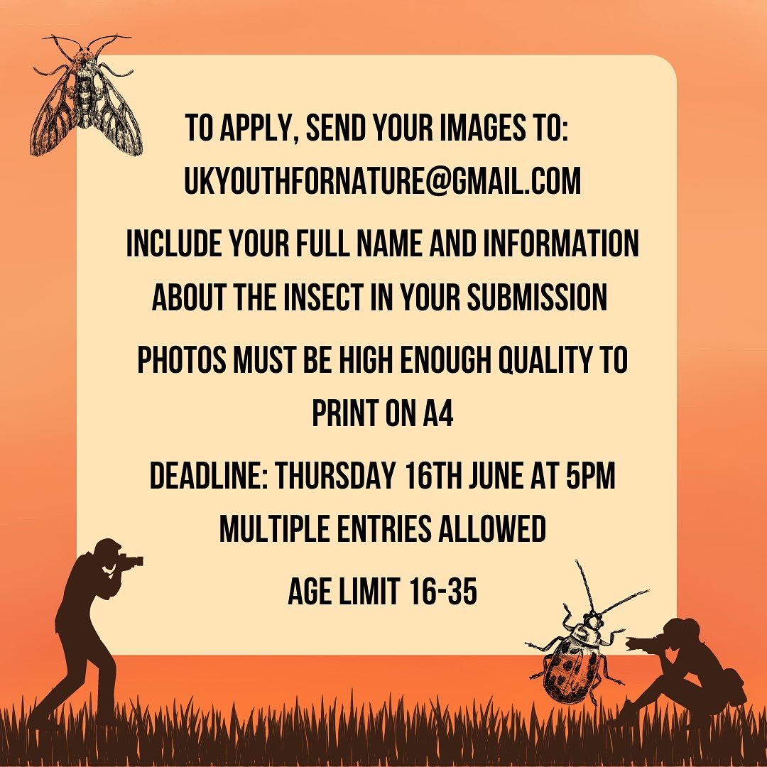 We're working with @ConservOptimism to run gallery exhibition to celebrate British insects this July!🐞🐛 Send your full name, images and some info about the species to ukyouthfornature@gmail.com by 16th June @ 5pm for a chance to have your photos displayed 📸 Age limit 16-35