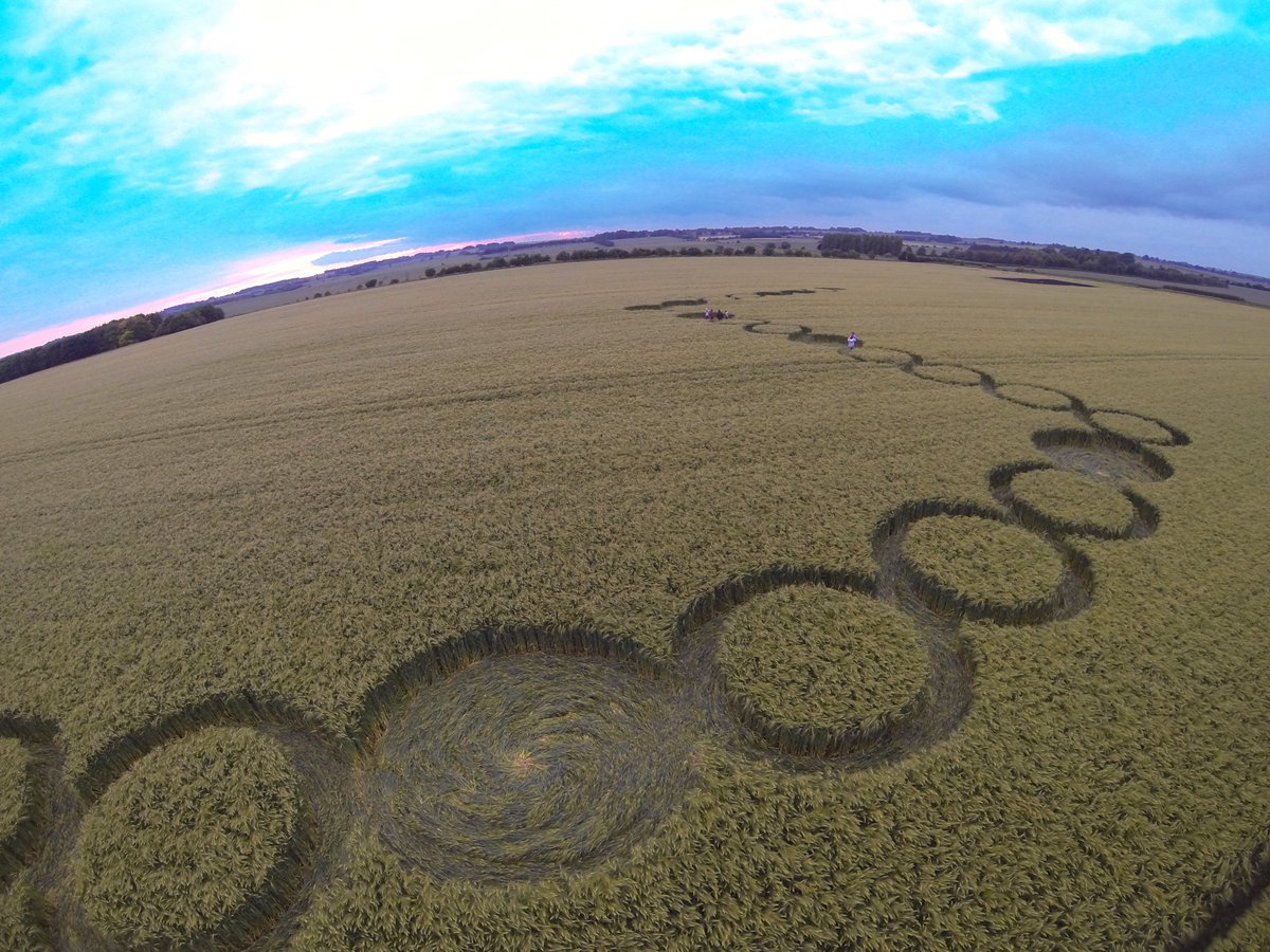 ukcropcircles's tweet photo. Video of ground details from Hackpen Hill (Wiltshire) crop circle, reported 4th June: https://t.co/l6KZnLIWL9 https://t.co/DCL3slyVCi