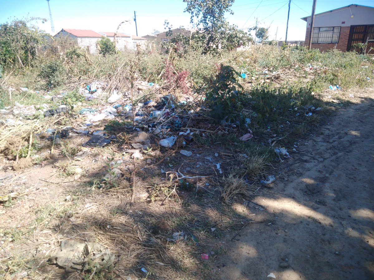 NdloZanele's tweet photo. Garbage is a menace since the council picks it once a week instead of at least twice, yes they're doing a good job but the population has increased unlike decades ago when the system of collecting it once was introduced. #garbageamenace https://t.co/PdNTbZZ2CF