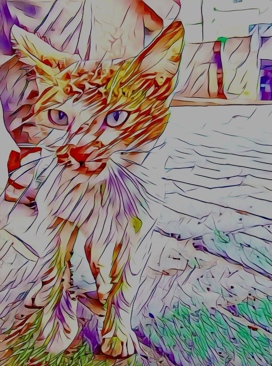 AMK NFT art tweet media