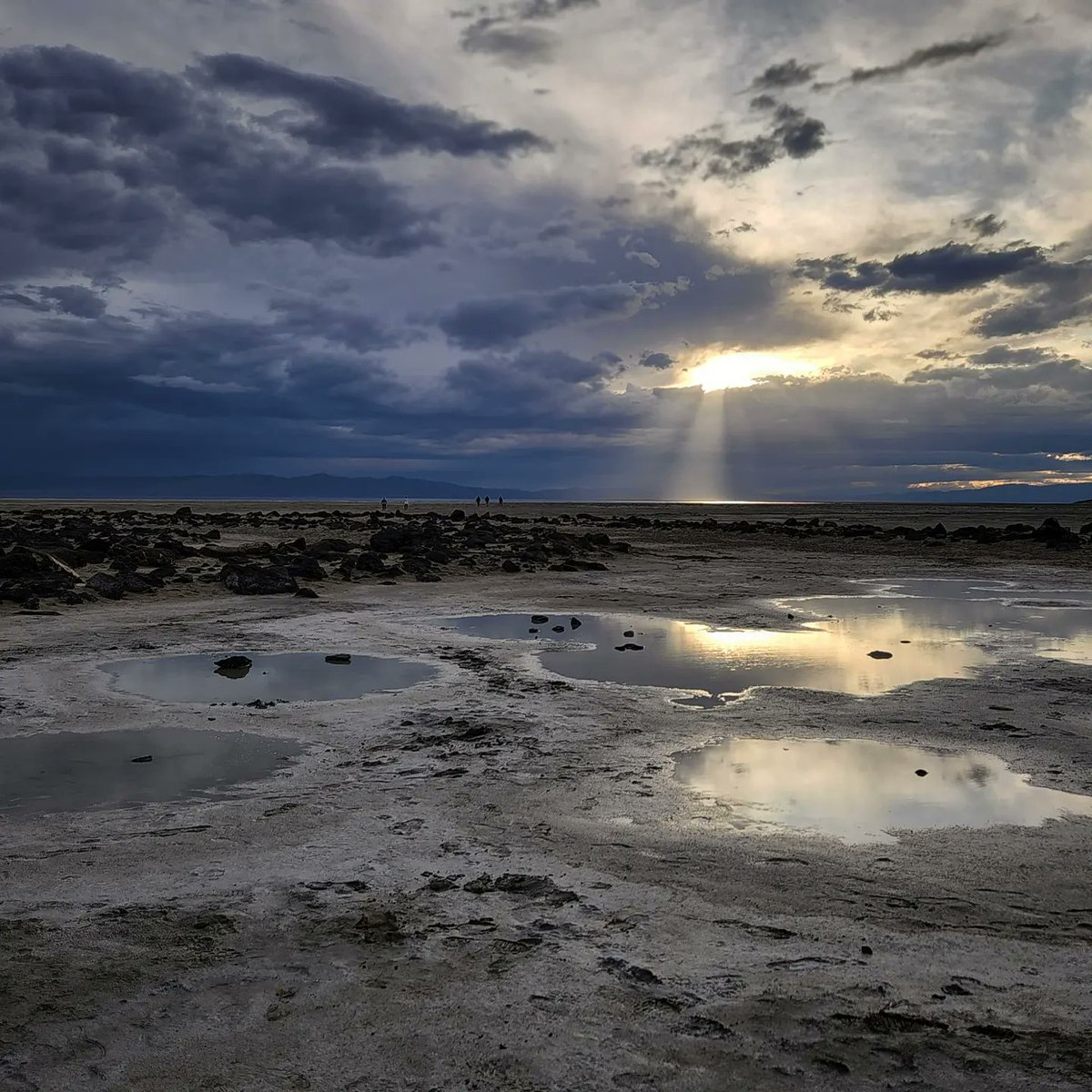 dr_angryfossil's tweet image. I finally made it! It was even better than I imagined. Smithson was a genius. #spiraljetty #APArtHistory