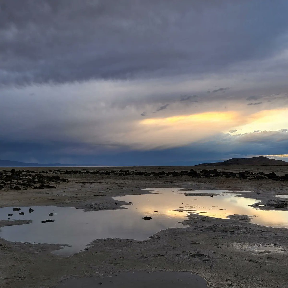 dr_angryfossil's tweet image. I finally made it! It was even better than I imagined. Smithson was a genius. #spiraljetty #APArtHistory