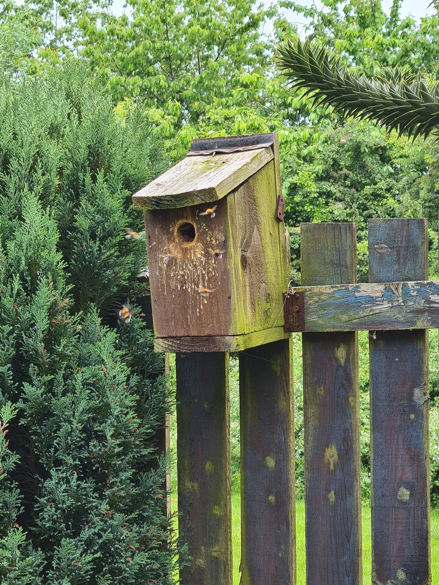 Brian Lumsdon 💙 tweet media