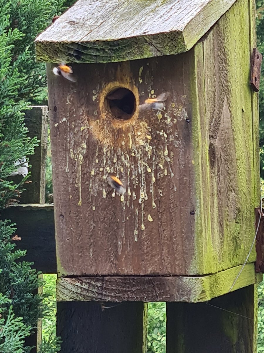 Brian Lumsdon 💙 tweet media