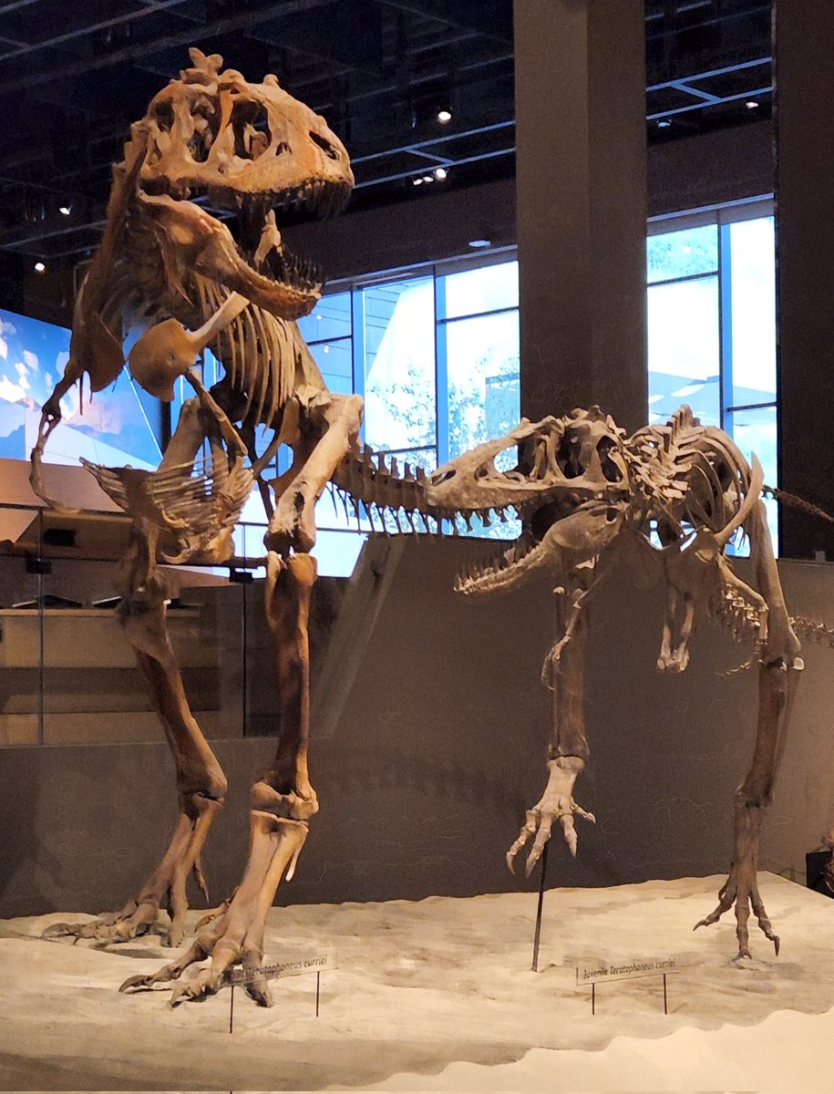 dr_angryfossil's tweet image. The @NHMU was amazing. Thank you for a wonderful evening! Put it on your must see list if you come to Salt Lake City.