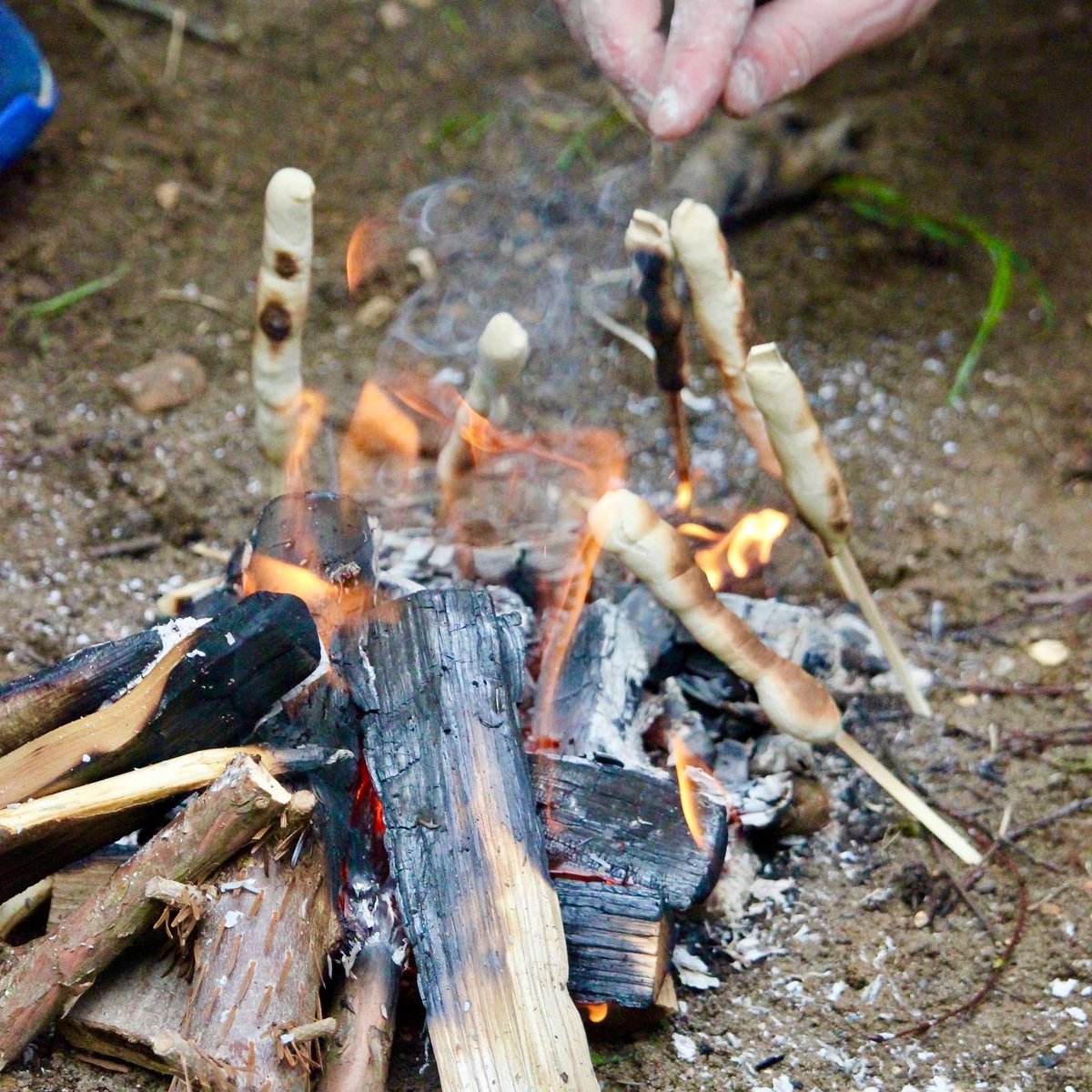 _Ludgrove's tweet photo. The Outdoor Skills boys had a great afternoon making damper bread over an open fire with Mr Mawson in Camps @_Ludgrove . They ate them toasty warm with honey and the verdict was “Delicious, better than Little Tea”!! PS - don’t tell Matron 🤐 #outdoorskills #backwoodscooking https://t.co/ygQA7iybVv