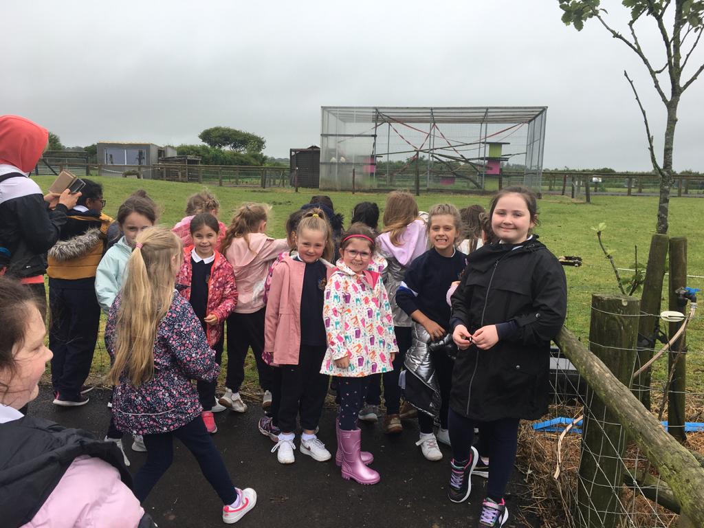 After another rainy start 😂 1st class had a great day at Ardmore farm and saw lots of interesting animals. <a href="/ardmoreopenfarm/">Ardmore Open Farm & Mini Zoo</a> #SchoolTour