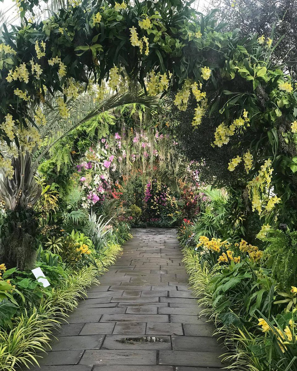 🌿🌼🧺 tweet media