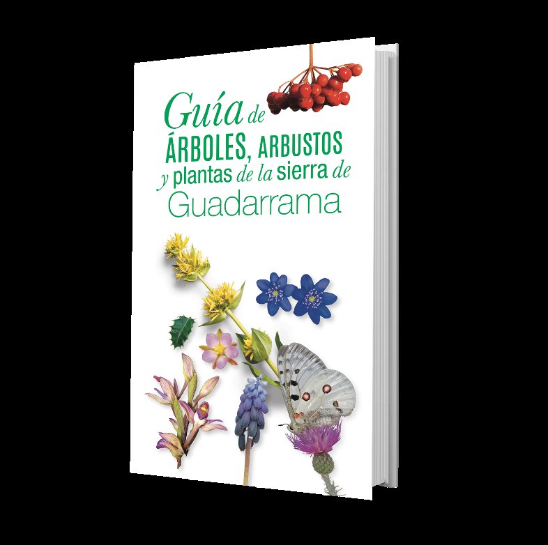Los amantes de las #plantas y de la #naturaleza, en general, ya pueden disfrutar de esta guía  escrita para todos los públicos. Esperamos que os guste. <a href="/pablotero1/">pablo otero</a> <a href="/VentaMarcelino/">Venta Marcelino</a> <a href="/PN_Guadarrama/">Parque Nacional de la Sierra de Guadarrama</a> <a href="/squalius/">Ag. Forestal MADRID</a> <a href="/AAFF_CCOO_CM/">FORESTALES CCOO CM</a> #Madrid <a href="/ComunidadMadrid/">Comunidad de Madrid</a> <a href="/bpmmadrid/">Bibliotecas Ayuntamiento de Madrid</a> <a href="/ayto3cantos/">Ayuntamiento Tres Cantos</a>