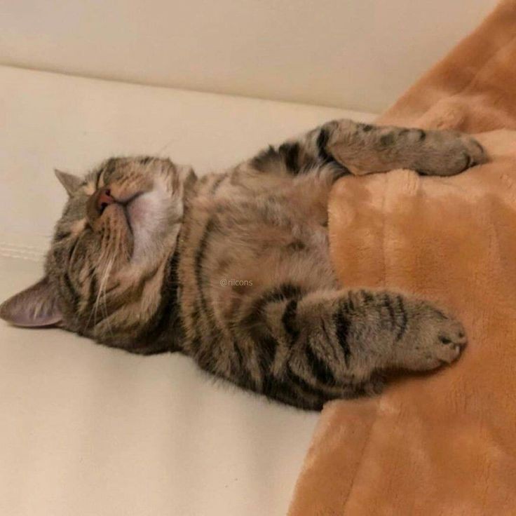 💤💤 #BEOMGYU #TAEHYUN