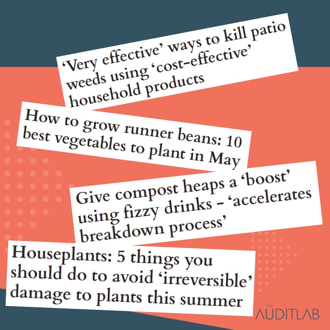 TAL Agency tweet media