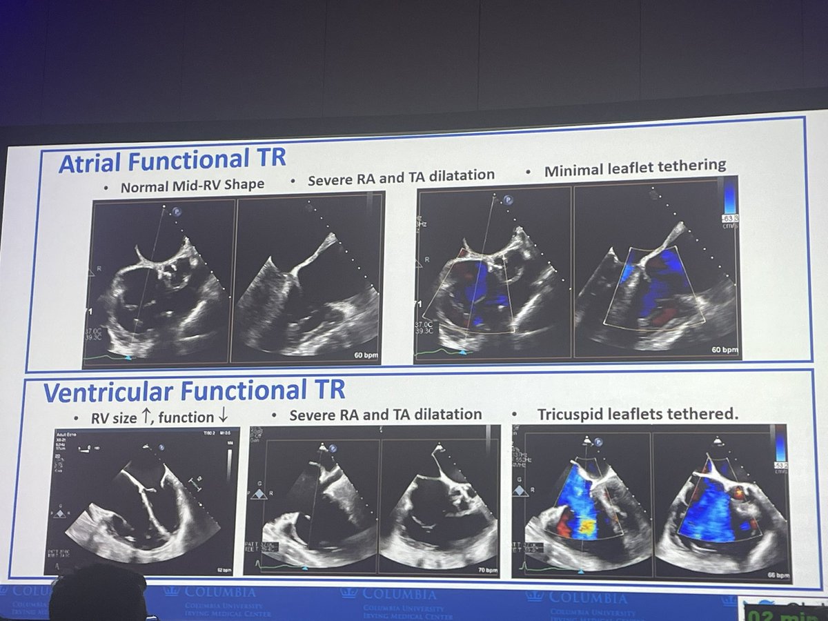 Lily Zhang tweet media