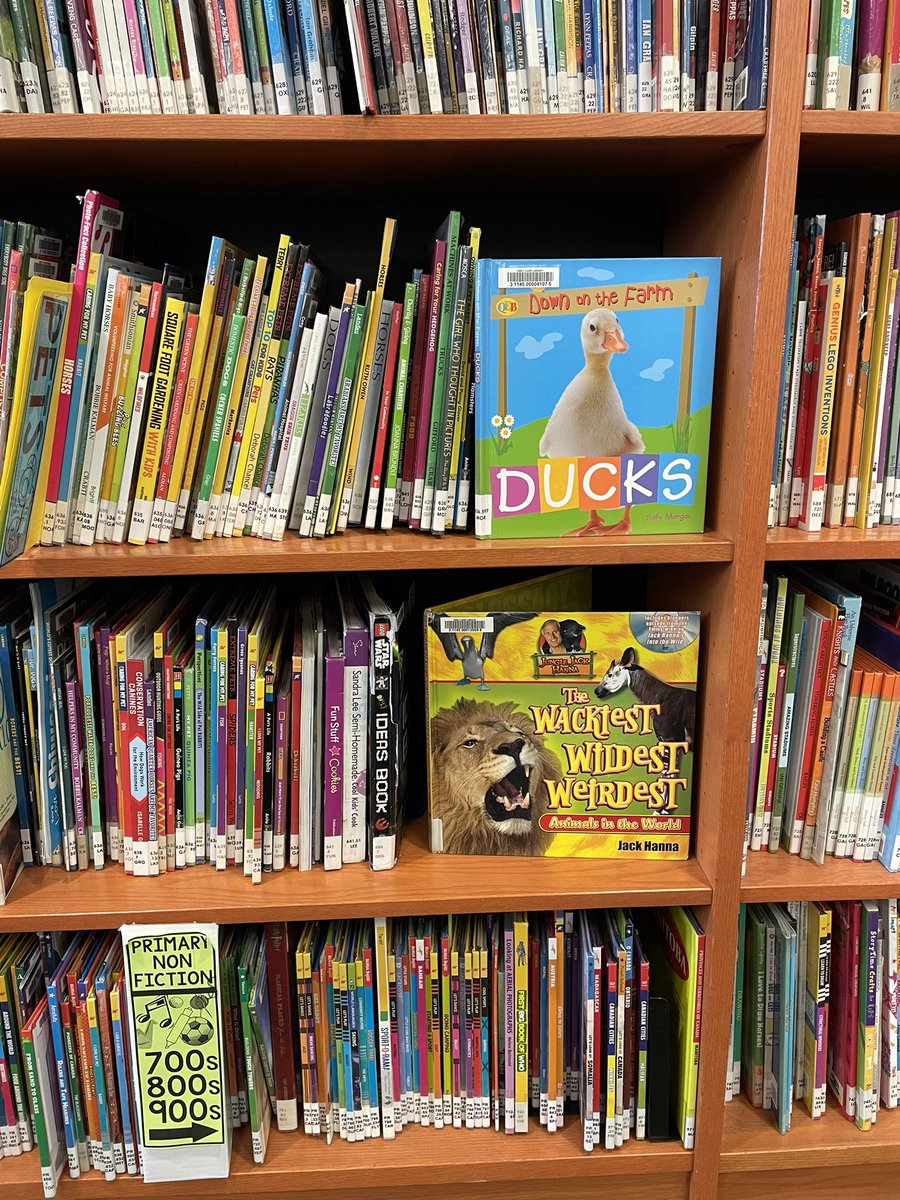 MissBekaert's tweet photo. Absolutely loving our new Non-Fiction labels and showcase sections! Making our books easy to find and visible to our students! Looking forward to adding more labels to our LLC ☺️📚 @HDSBLibraries https://t.co/X965rYVBhE