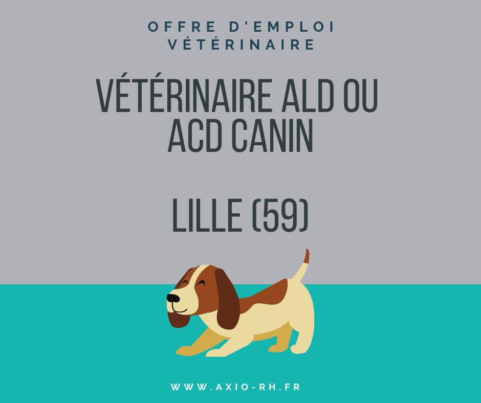 RhAxio's tweet image. Poste urgent !
 🅦🅐🅝🅣🅔🅓 : Vétérinaire ALD ou ACD canin à Lille 
 Notre annonce pour découvrir tous les détails de l'emploi : bit.ly/3AxpEmQ
 Pour le 1er mars 2022 idéalement !
#recrutementvétérinaire #lille #vétérinaire