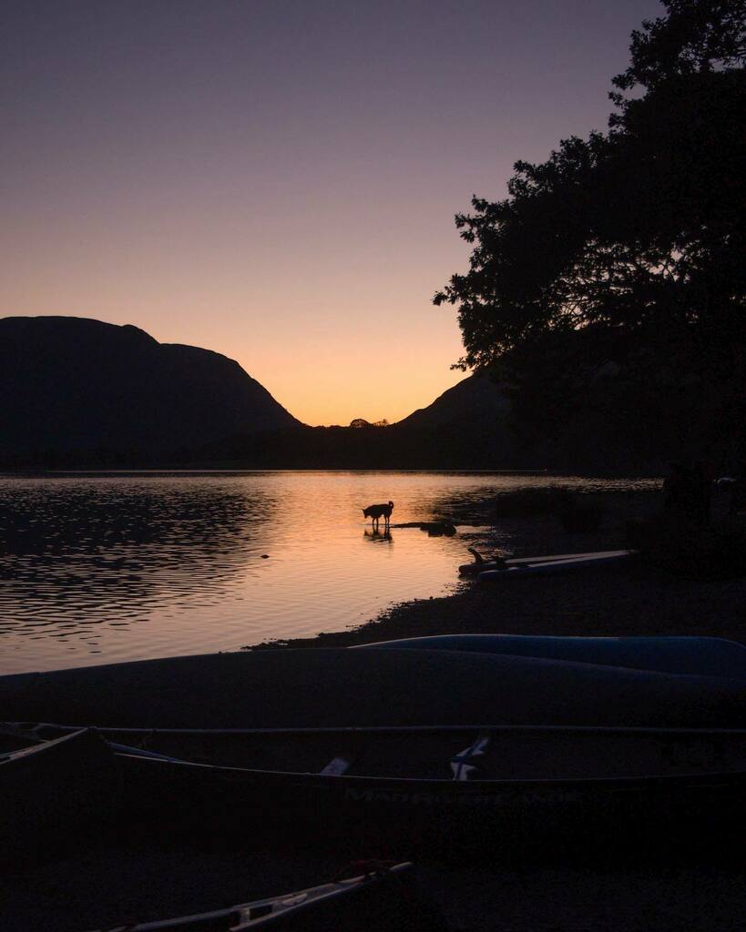 l_imber's tweet photo. Sunset, lake, canoes and a very photogenic doggo 

.
.
.
.
.
.
.
.
#buttermere #buttermerelake #buttermerebash #lake #thelakes #lakeland #lakedistrict #vibes #summer #feelgood #moods_in_frame #summervibes #canoe #lakeside #lakedistrictnationalpark #sunse… https://t.co/qKsi1TYR0b https://t.co/YR7JtZH2qB