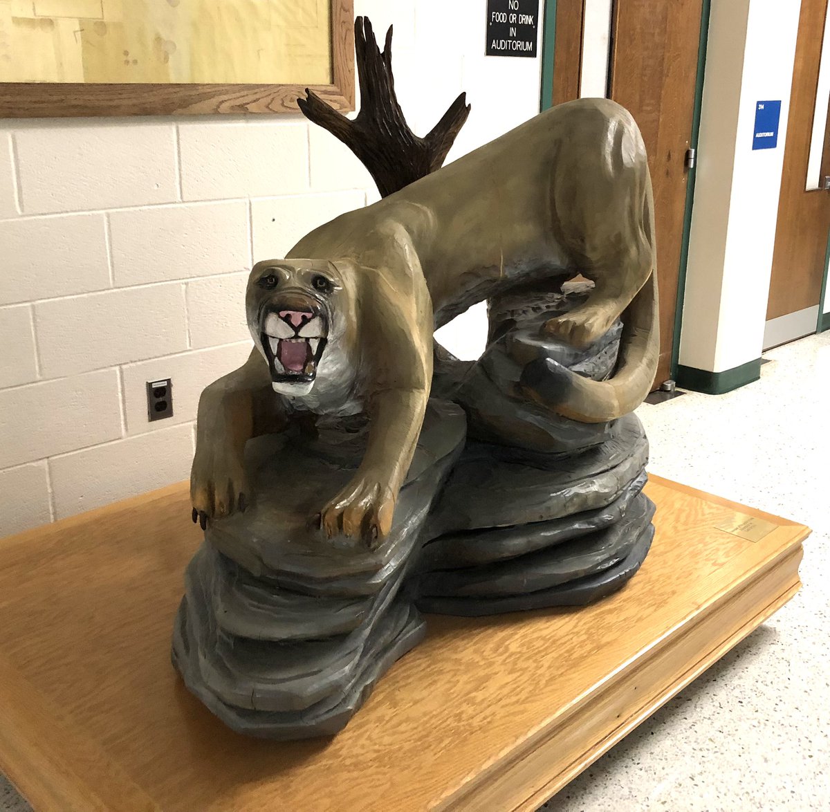 KennedyProfe's tweet photo. I’m a Cougar now #CatoctinHigh https://t.co/jUnOQLV3Bf