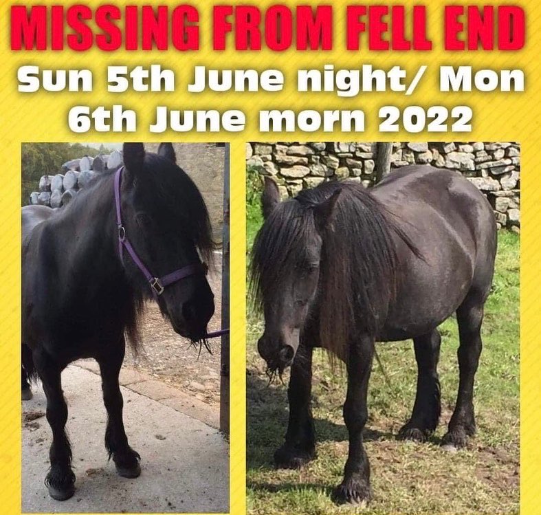 rosiedoc666's tweet photo. ‼️MISSING “CHRISTINE” A HUGELY LOVED FAMILY PET‼️5/6 - 6/6 2022
HER OWNER IS DEVASTATED BY HER SUDDEN DISAPPEARANCE
A #fellpony #mare
PLS HELP US SPREAD THE WORD
make CHRISTINE #toohottohandle
LOCALS of #fellend #kirkbystephen #cumbria PLEASE LOOKOUT FOR THIS GORGEOUS LADY https://t.co/zCtiOiIEyg