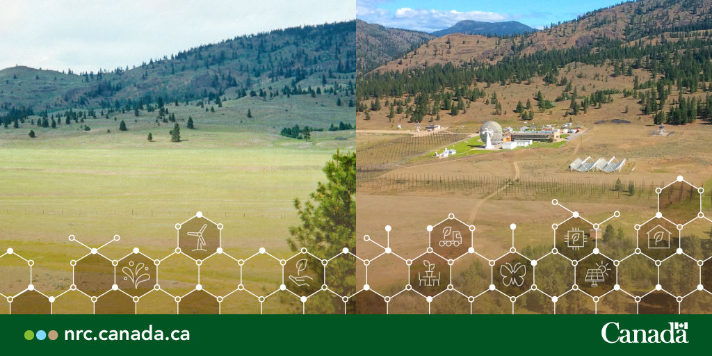 NRC_CNRC's tweet photo. 3/3: #ThenAndNow: More, thicker tree stands and vegetation at our Dominion Radio Astrophysical Observatory were a wildfire hazard. Our wildfire treatment plan aims to reduce the risk of wildfires. Learn more: https://t.co/wQWntTuYA4 #DRAO #Okanagan #NRCEnviroWeek #EnviroWeek https://t.co/LUwypB8eV6