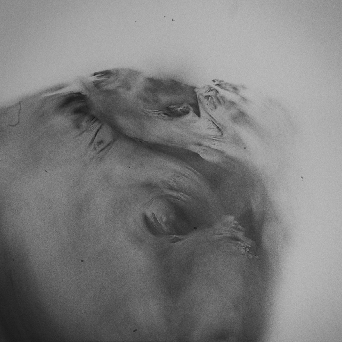 Love how Octane Vecton can turn out if you play around with it.