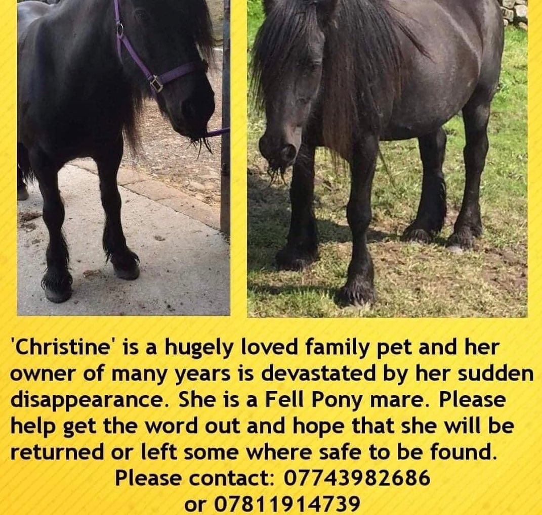 rosiedoc666's tweet photo. ‼️MISSING “CHRISTINE” A HUGELY LOVED FAMILY PET5/6 - 6/6 2022
A #fellpony LOCALS of #fellend #kirkbystephen #cumbria PLS LOCALS 👀
On the way to #applebyhorsefair PLS KEEP 👀 OPEN ON ROUTE TY ♨️
https://t.co/i9TEq76KA2
@CumbriaCrack @CumbriaRoadsPol @MissingPetsGB @RachaelB100 https://t.co/aJc4uEaIGr