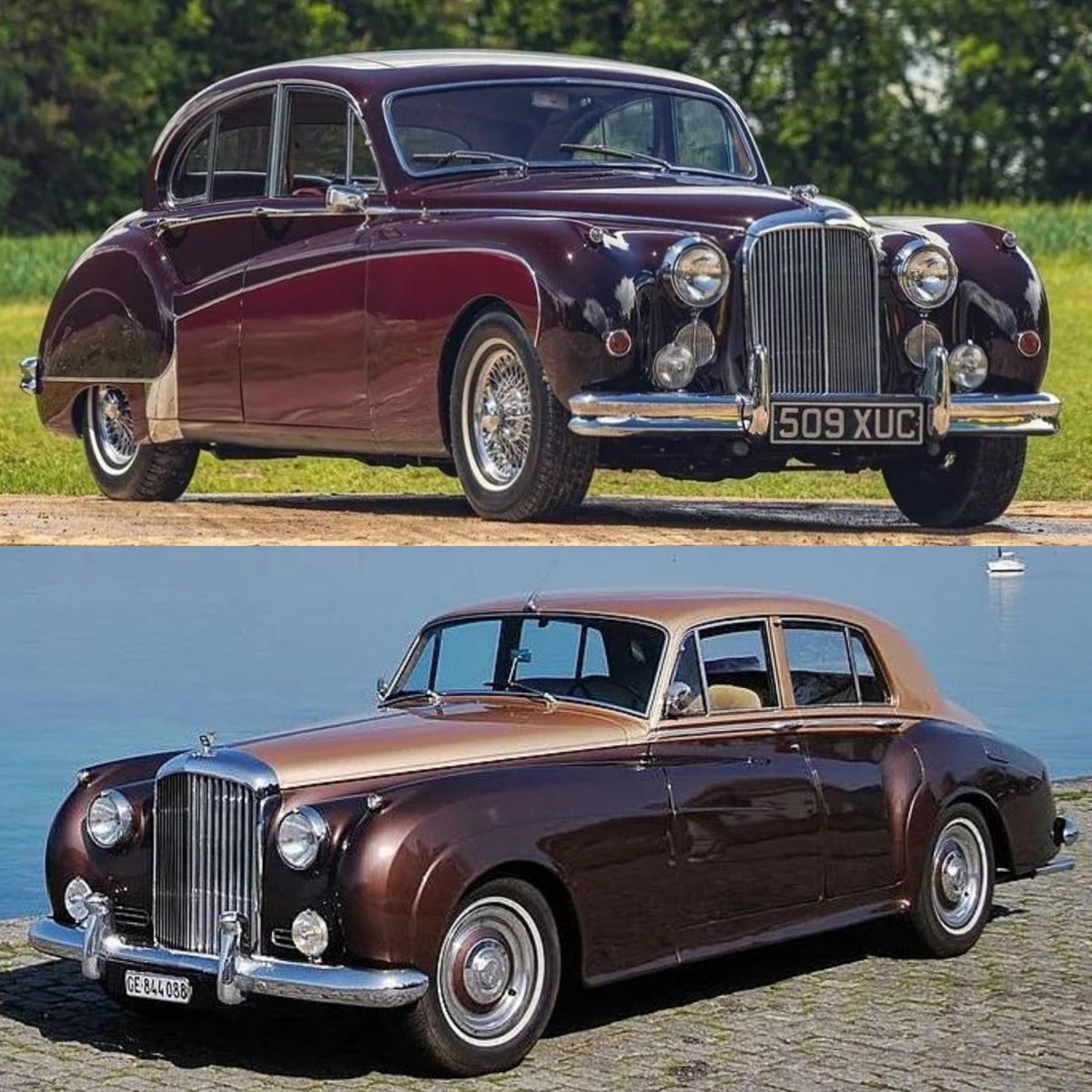 Electric Blue⚡️💙 tweet media